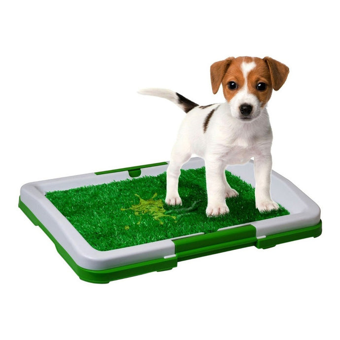 Tapete Entrenador Mascotas Lavable Baño Caninos