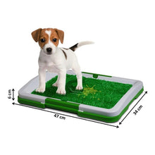 Cargar imagen en el visor de la galería, Tapete Entrenador Mascotas Lavable Baño Caninos
